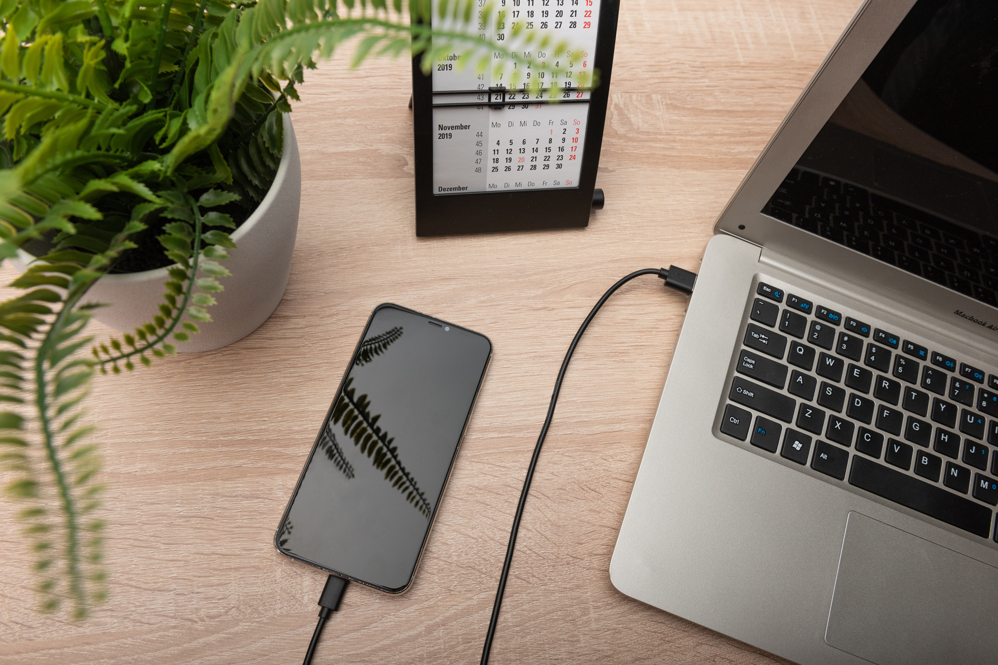 Digitus Cavo di collegamento USB Type-C