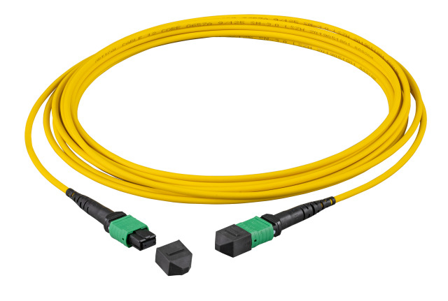 EFB Elektronik MTPF12MTPFOS2-2-A - 2 m - OS2 - MTP - MTP
