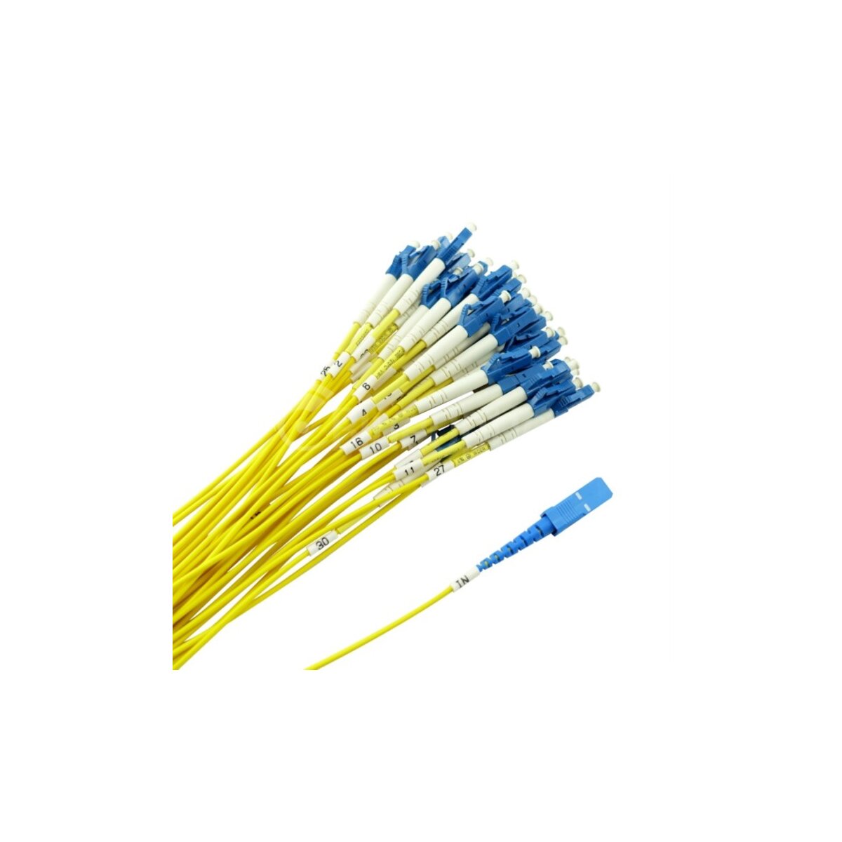 BlueOptics PLC Splitter ABS Box SC-UPC SC-UPC 1x8