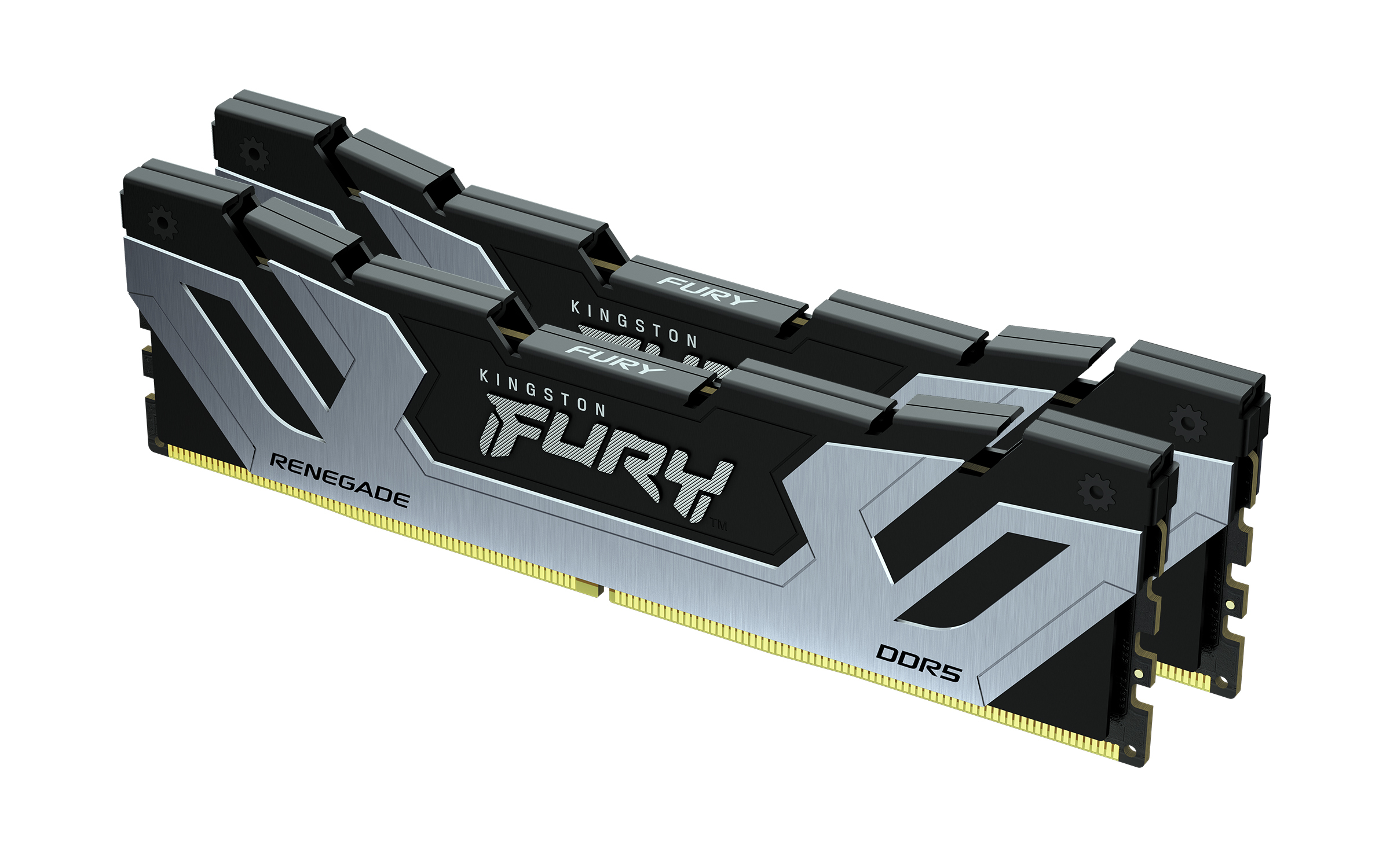 Kingston FURY Renegade - DDR5 - Modul - 24 GB