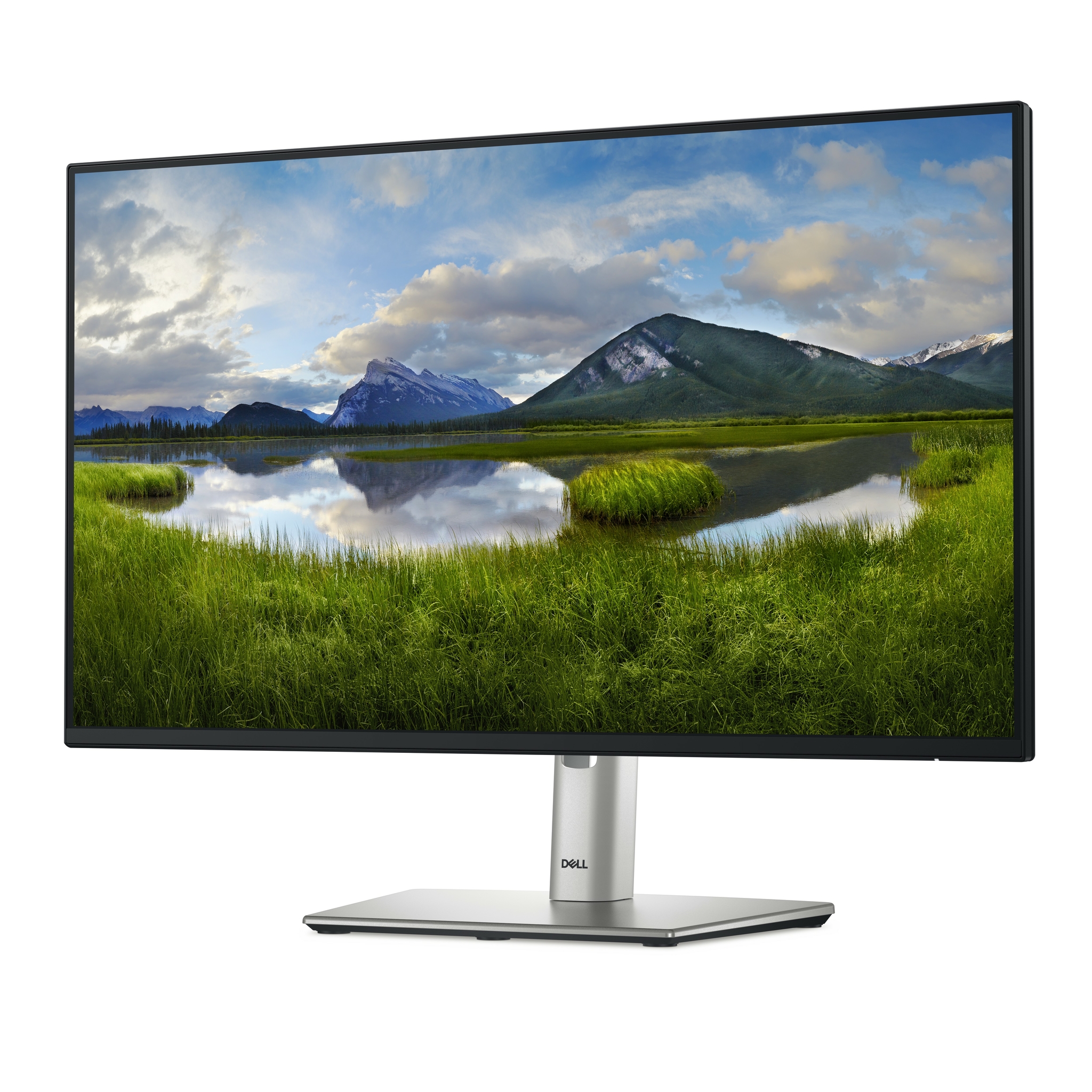 Dell P2425HE - LED-Monitor - 61 cm (24) (23.81 sichtbar)