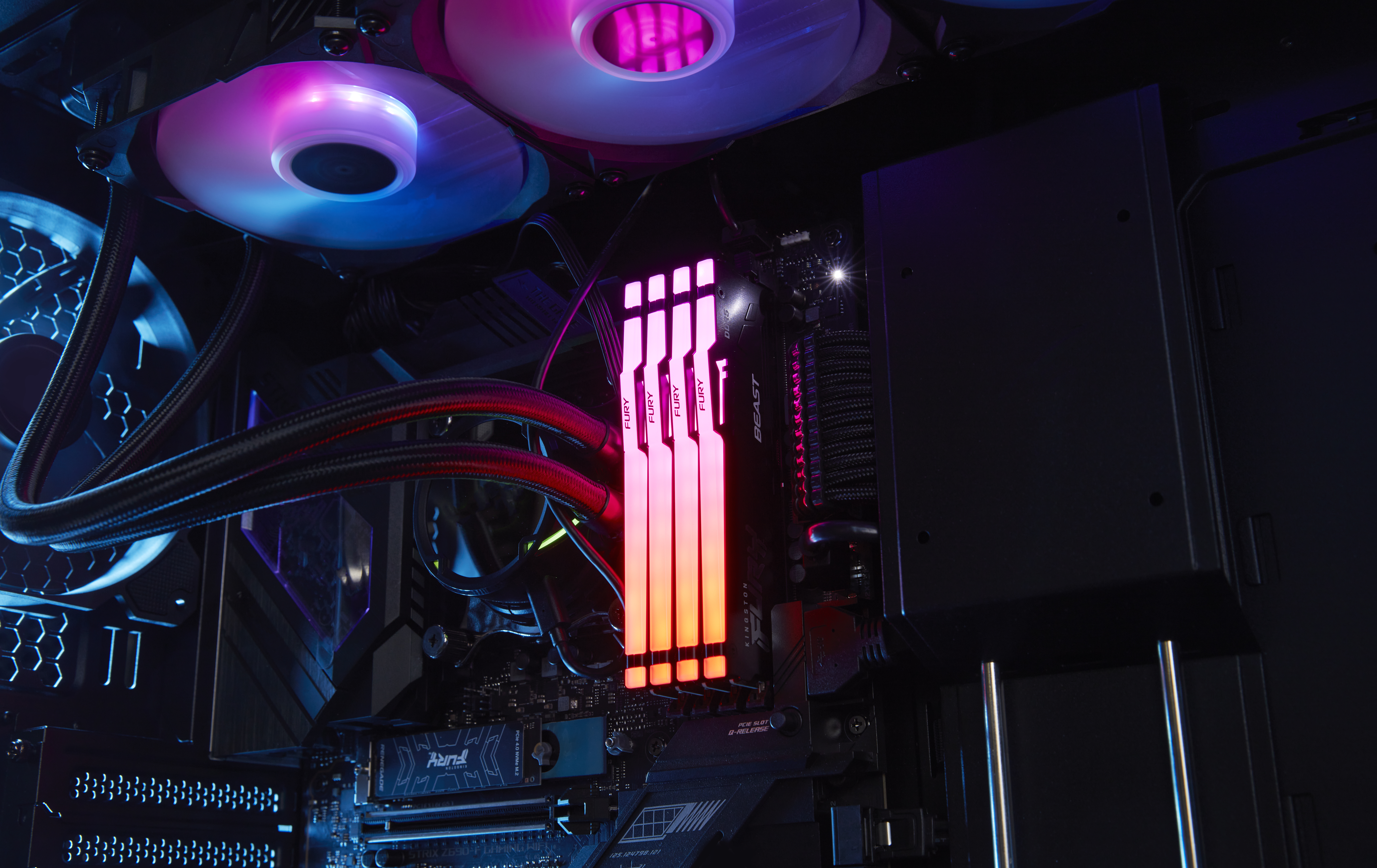 Kingston FURY Beast RGB - DDR5 - Modul - 64 GB