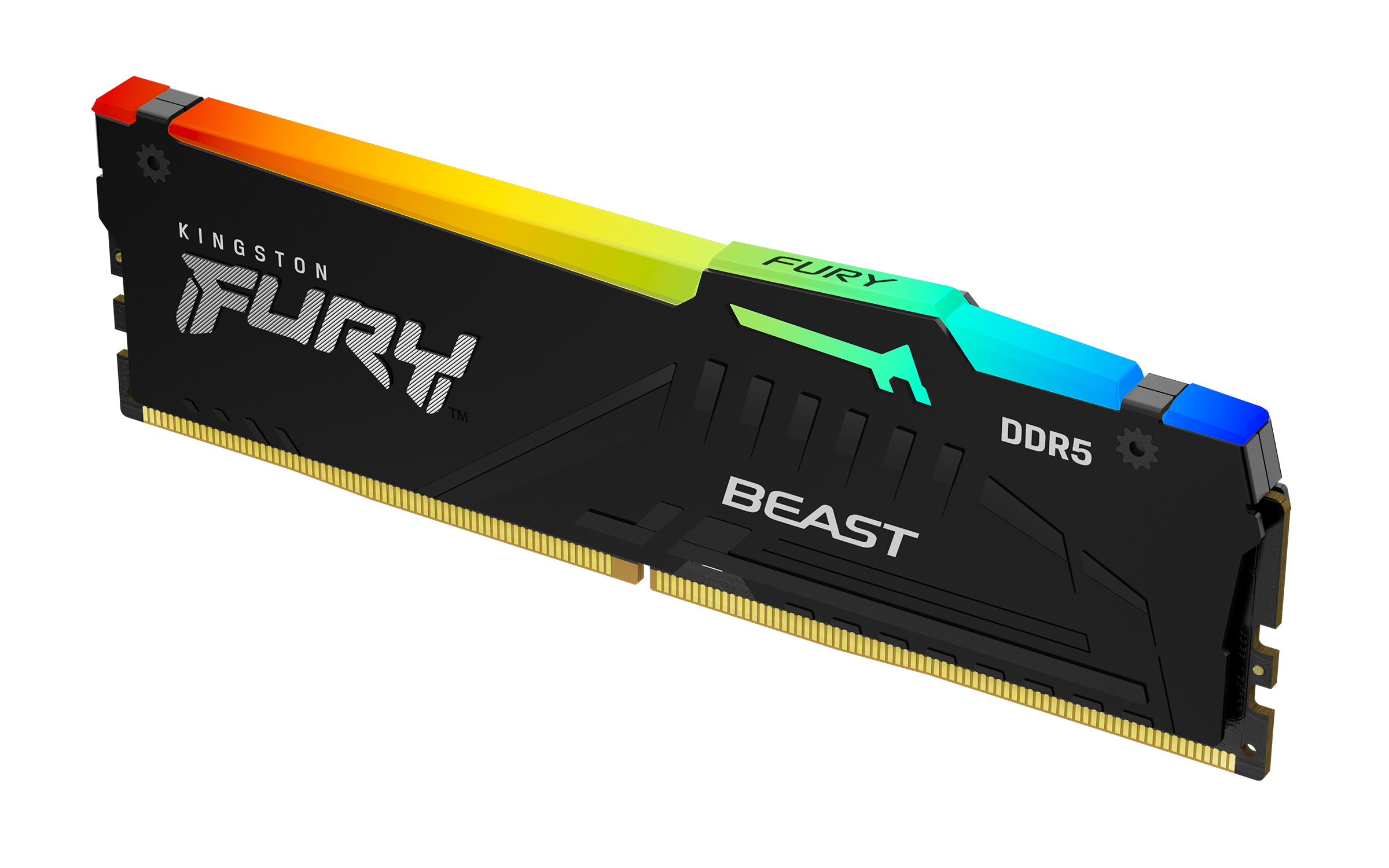 Kingston FURY Beast RGB - DDR5 - Modul - 64 GB