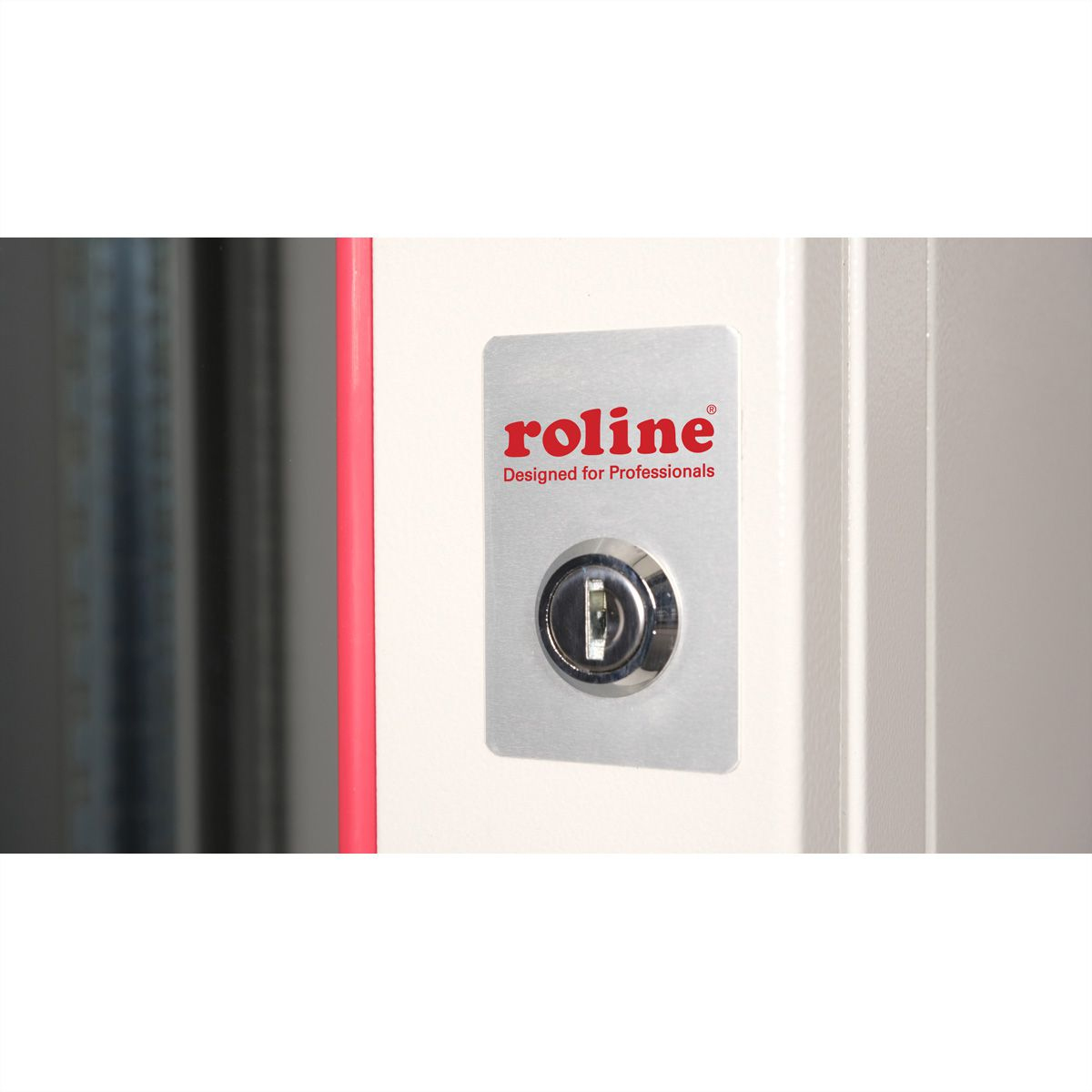 ROLINE Pro - Schrank Netzwerkschrank - 600 x 450 mm (B x T)