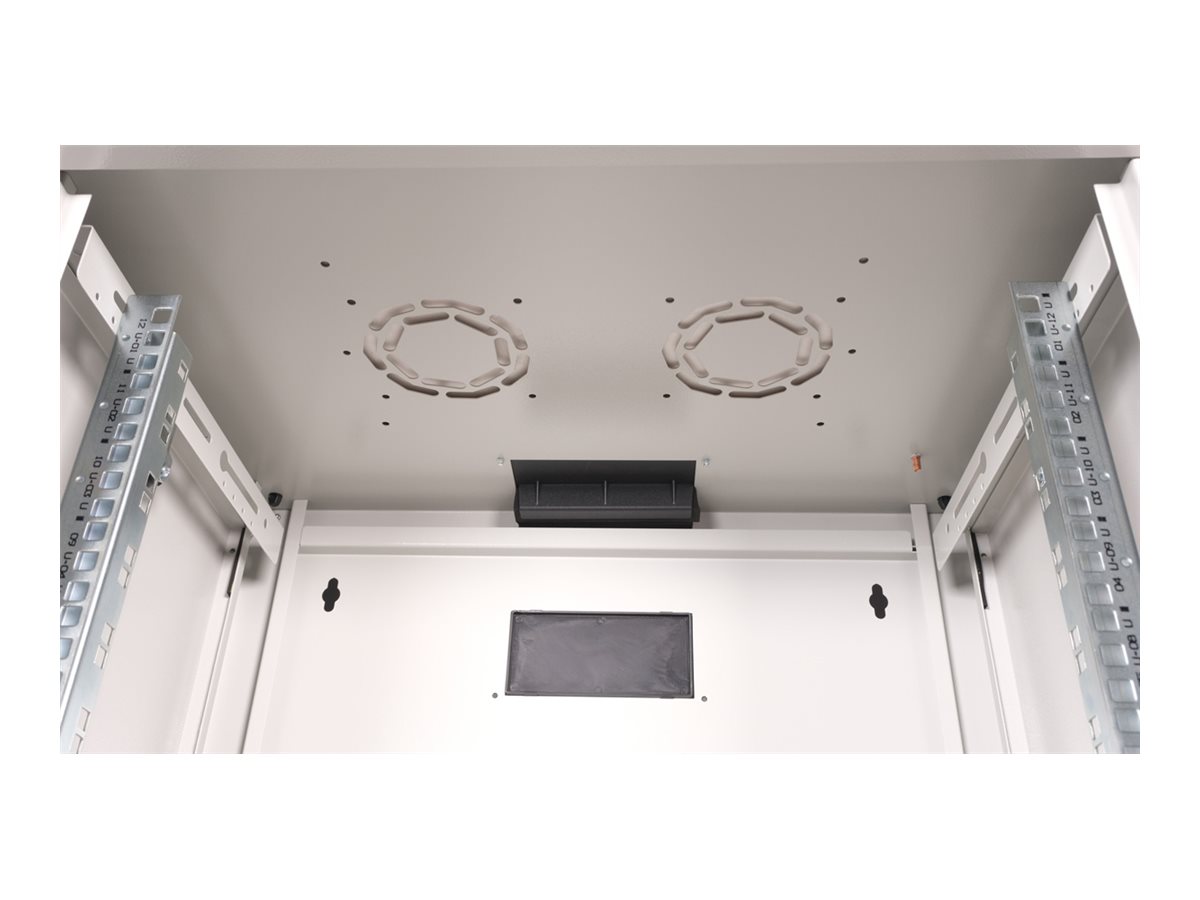 ROLINE Pro - Schrank Netzwerkschrank - 600 x 450 mm (B x T)