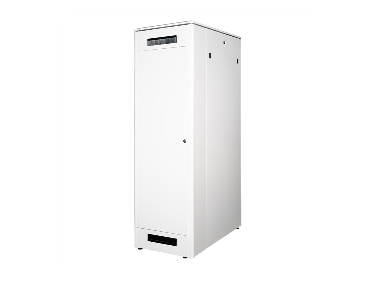 ROLINE Pro - Schrank Netzwerkschrank - Hellgrau, RAL 7035 - 42HE - 48.3 cm (19)