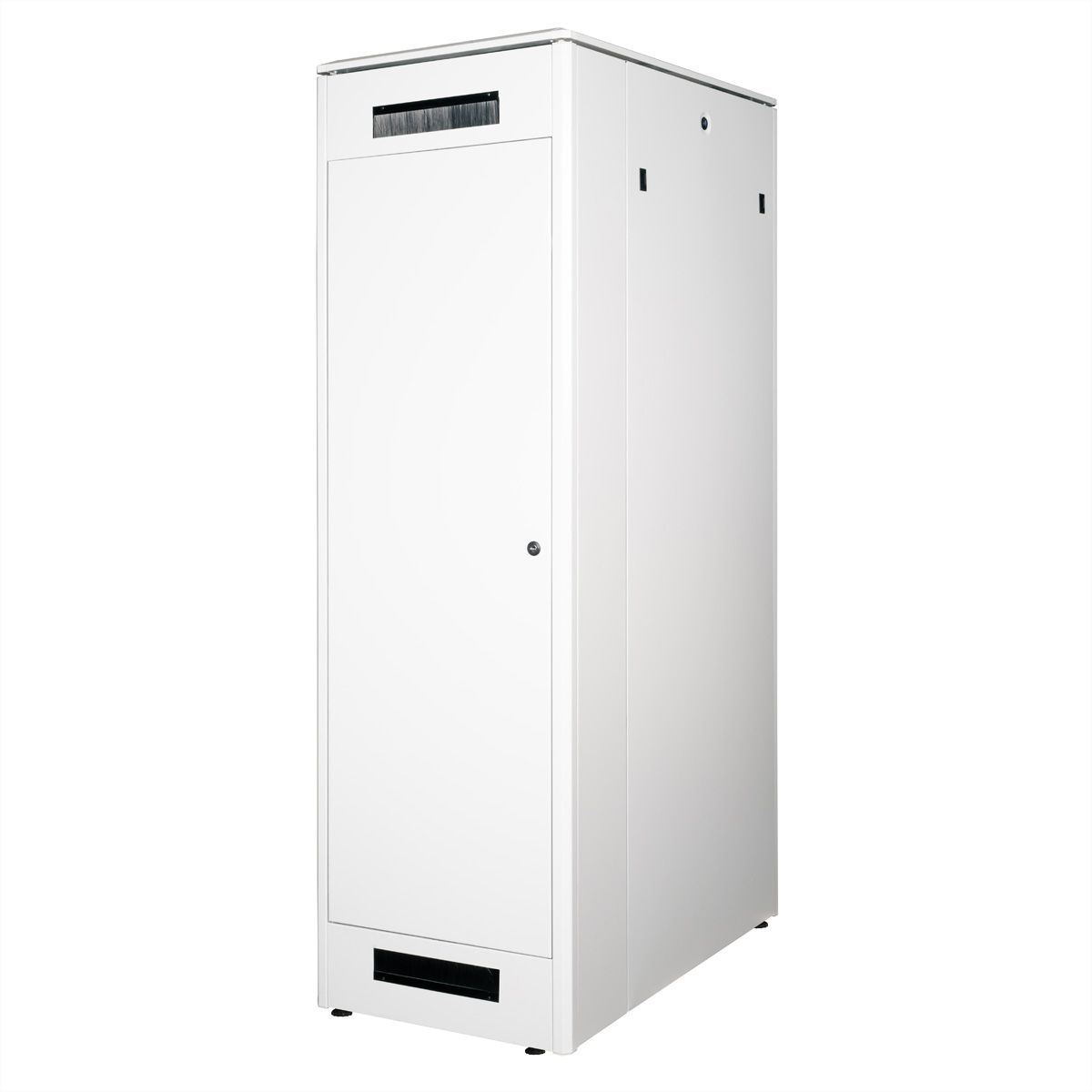 ROLINE Pro - Schrank Netzwerkschrank - Hellgrau, RAL 7035 - 42HE - 48.3 cm (19)