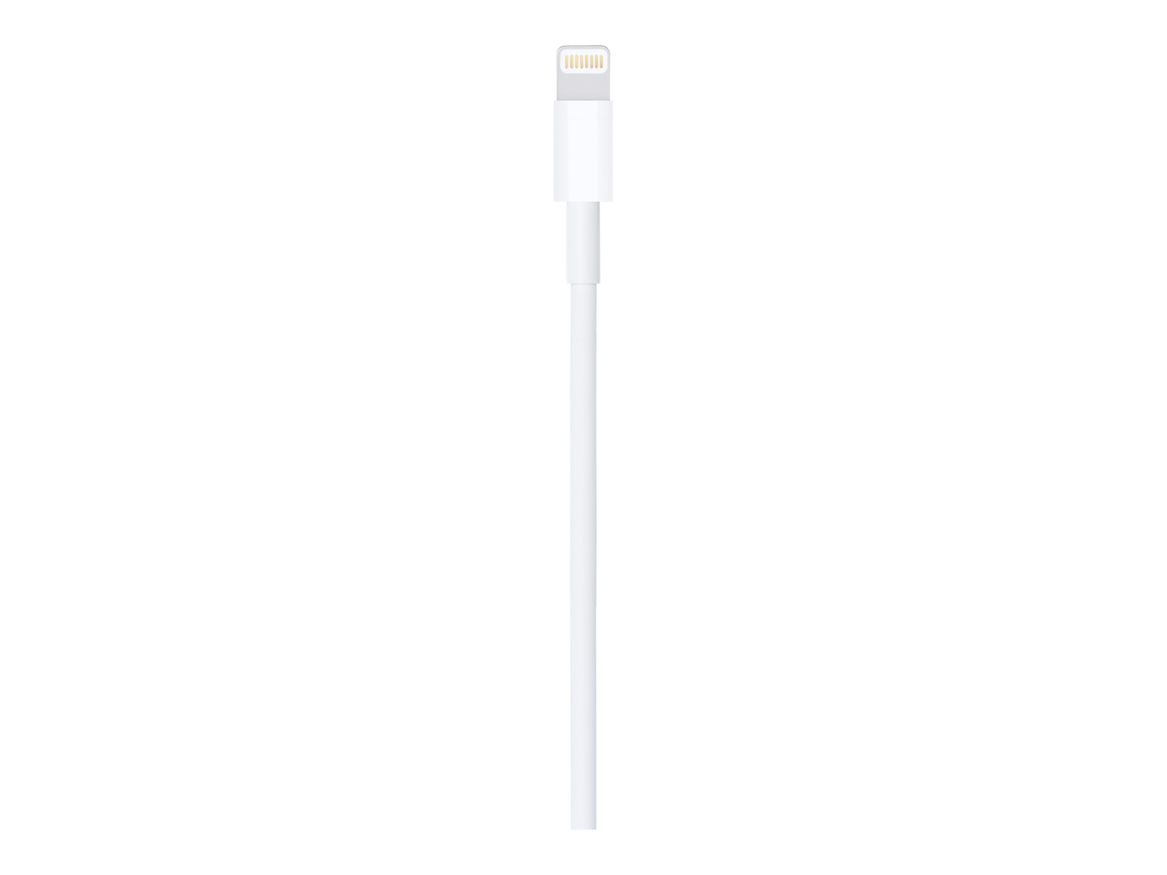 Apple Lightning-Kabel - Lightning m�nnlich zu USB m�nnlich
