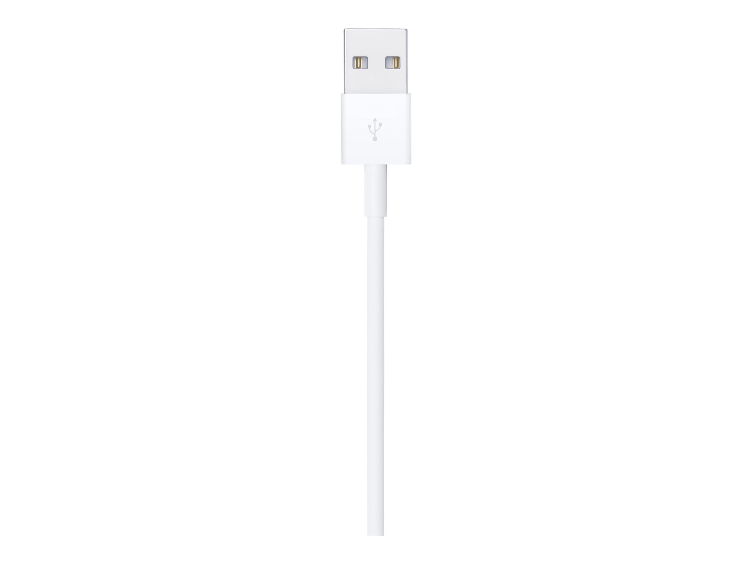 Apple Lightning-Kabel - Lightning m�nnlich zu USB m�nnlich