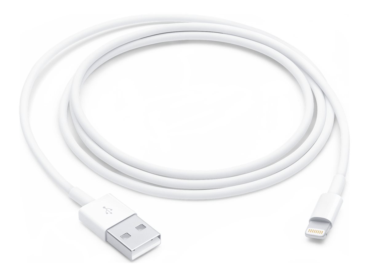 Apple Lightning-Kabel - Lightning m�nnlich zu USB m�nnlich