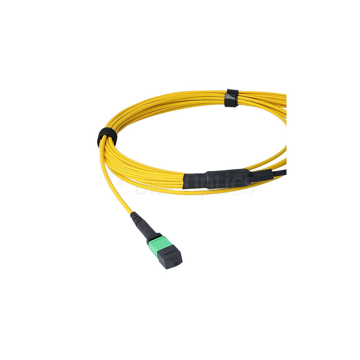 BlueOptics LWL MPO/8xLC Duplex Breakout Kabel G.657.A1 Singlemode 3 Meter