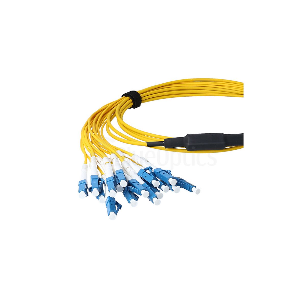 BlueOptics LWL MPO/8xLC Duplex Breakout Kabel G.657.A1 Singlemode 3 Meter