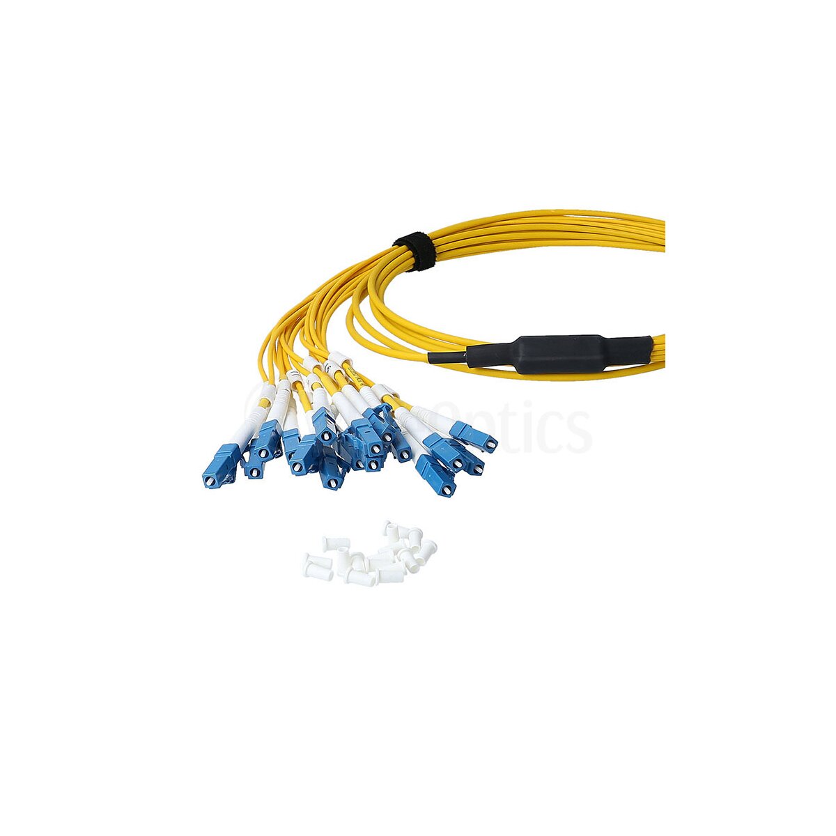 BlueOptics LWL MPO/8xLC Duplex Breakout Kabel G.657.A1 Singlemode 3 Meter
