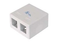 DIGITUS Konsolidierungs-Punkt Geh�use f�r 2x Keystone Module