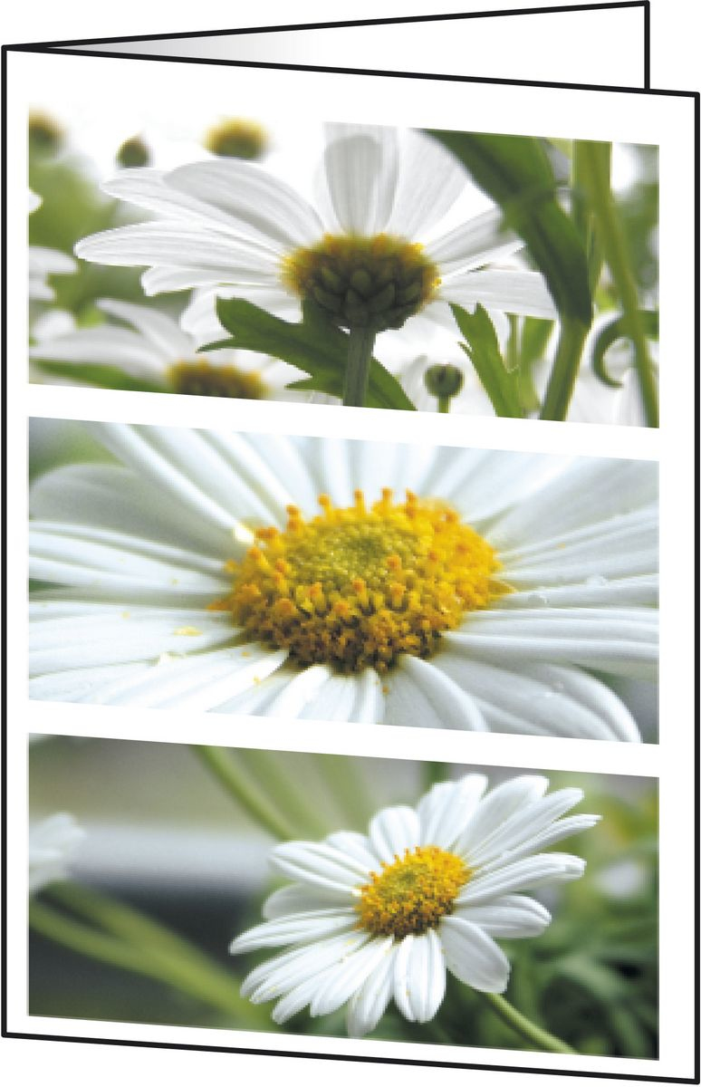 Sigel DC171 carte de v ux et de condol�ances