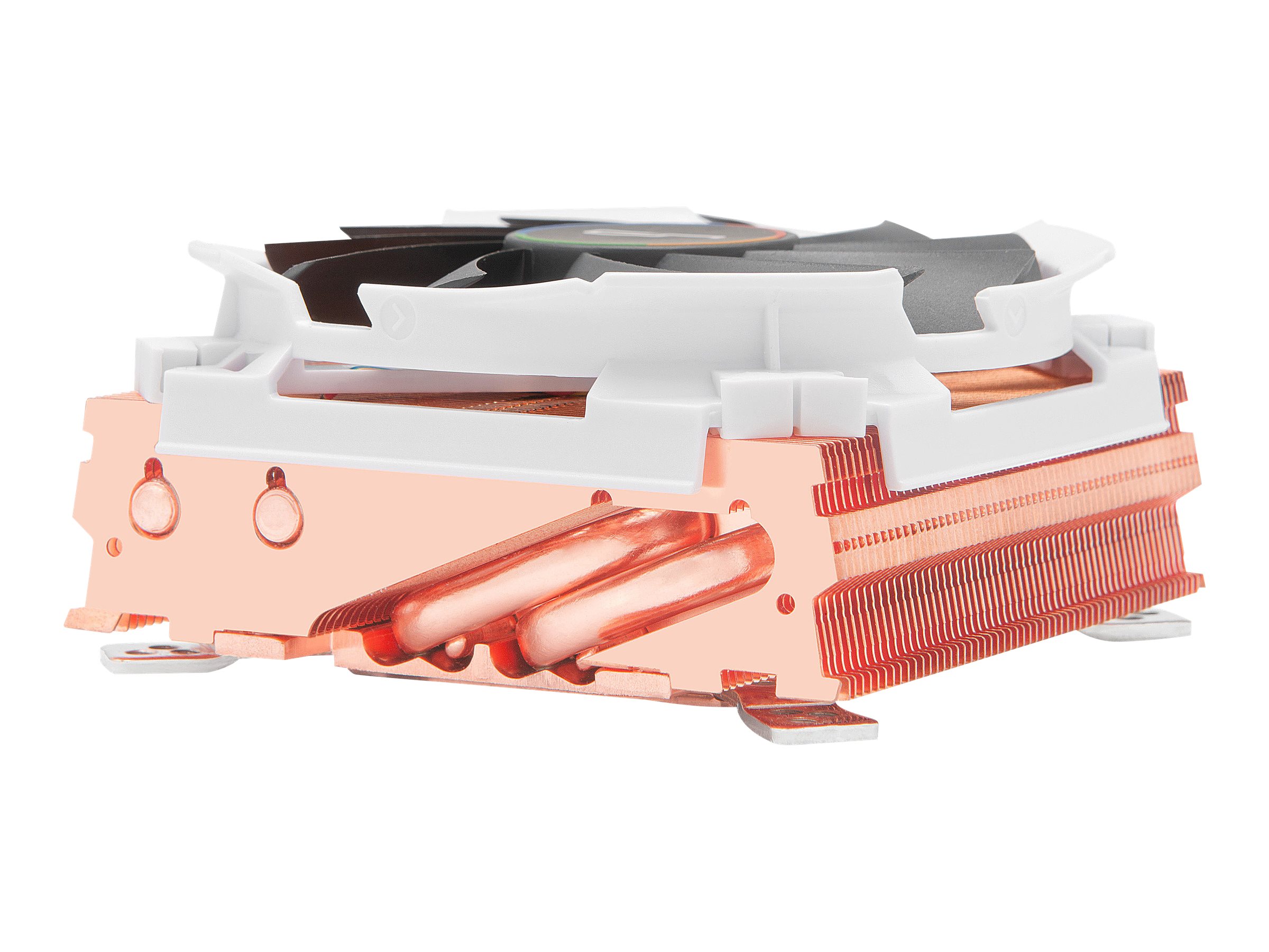 Cryorig C7 Cu - Prozessor-Luftk�hler - (f�r: LGA1156, AM2, AM2+, AM3, LGA1155, AM3+, FM1, FM2, LGA1150, FM2+, LGA1151, AM4)
