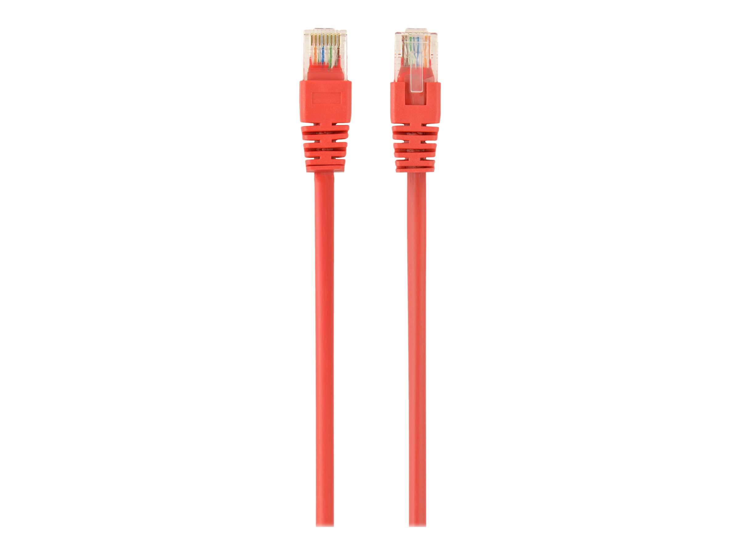 Gembird Patch-Kabel - RJ-45 (M) zu RJ-45 (M)