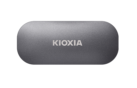 Kioxia EXCERIA PLUS 500 Go Gris