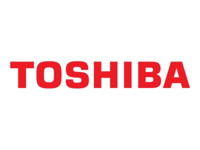 Toshiba N300 NAS Hard Drive 10TB 512MB - Festplatte - Serial ATA