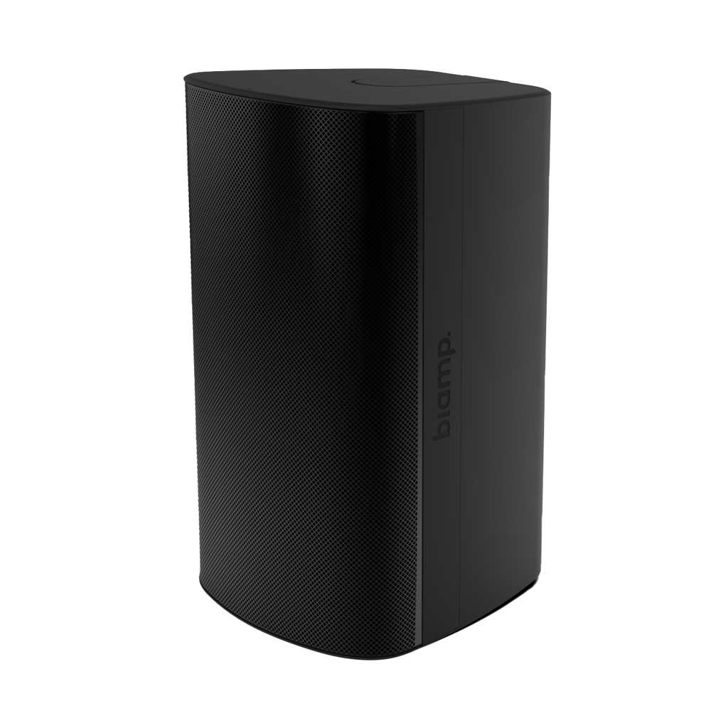 Biamp Desono EX-S10-CM-B - Lautsprecher - 20 KHz