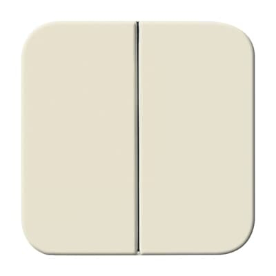 Busch-Jaeger 2505-212 Ferro