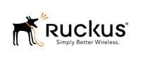 Ruckus Wireless Watchdog
