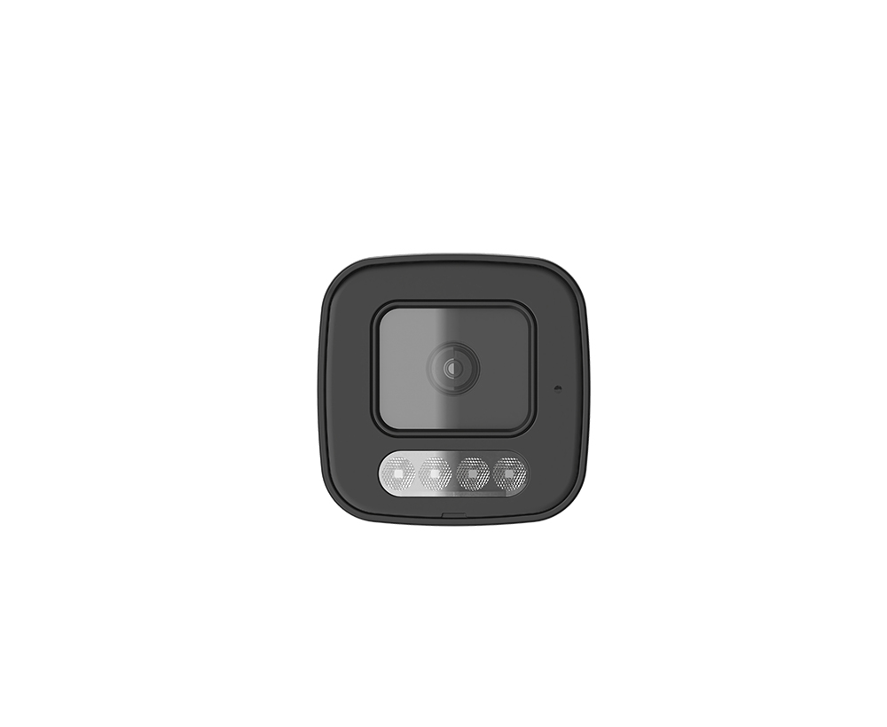 D-Link BCB-P01 - Netzwerk-�berwachungskamera - Kugel - Au�enbereich - wetterfest - Farbe (Tag&Nacht)