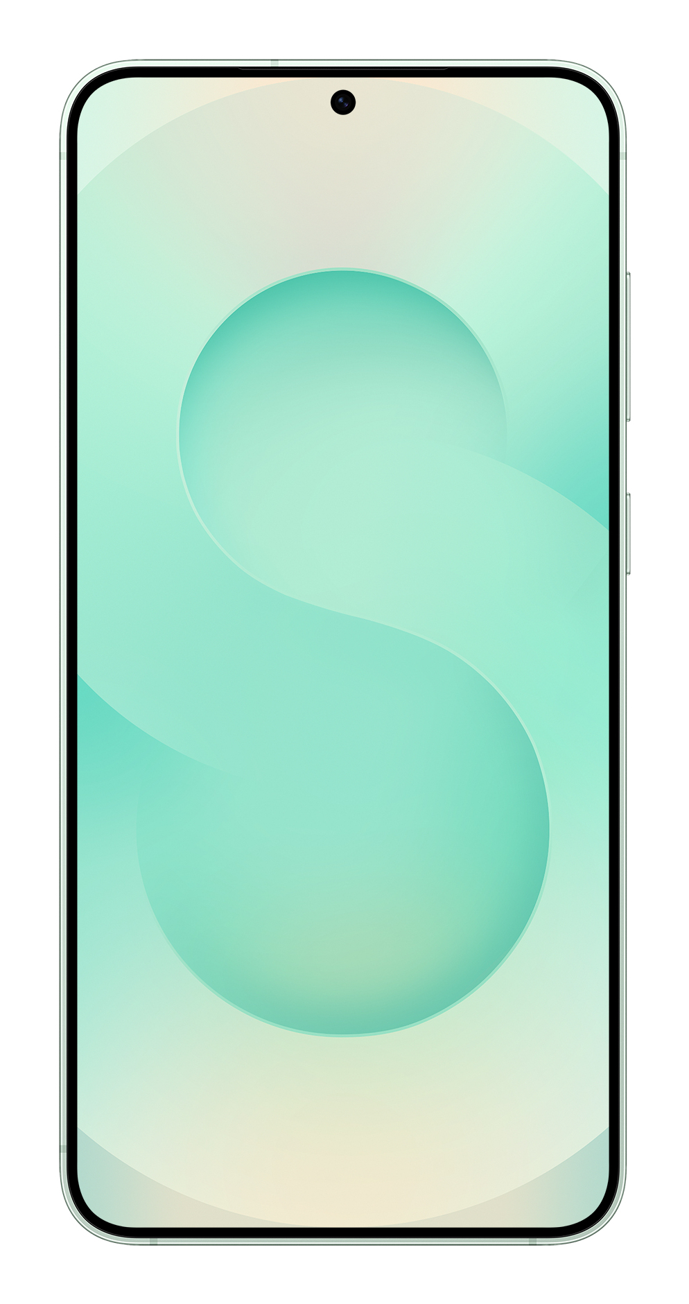 Samsung Galaxy S25+ 17 cm (6.7) Dual SIM Android 15 5G USB Type-C 12 GB 512 GB 4900 mAh Mint colour