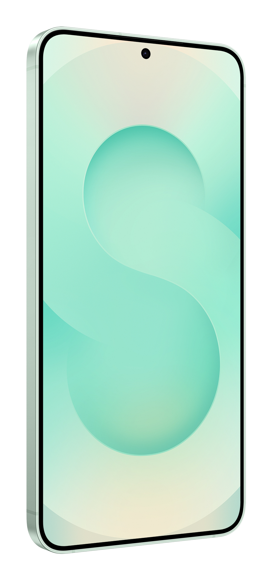 Samsung Galaxy S25+ 17 cm (6.7) Dual SIM Android 15 5G USB Type-C 12 GB 512 GB 4900 mAh Mint colour