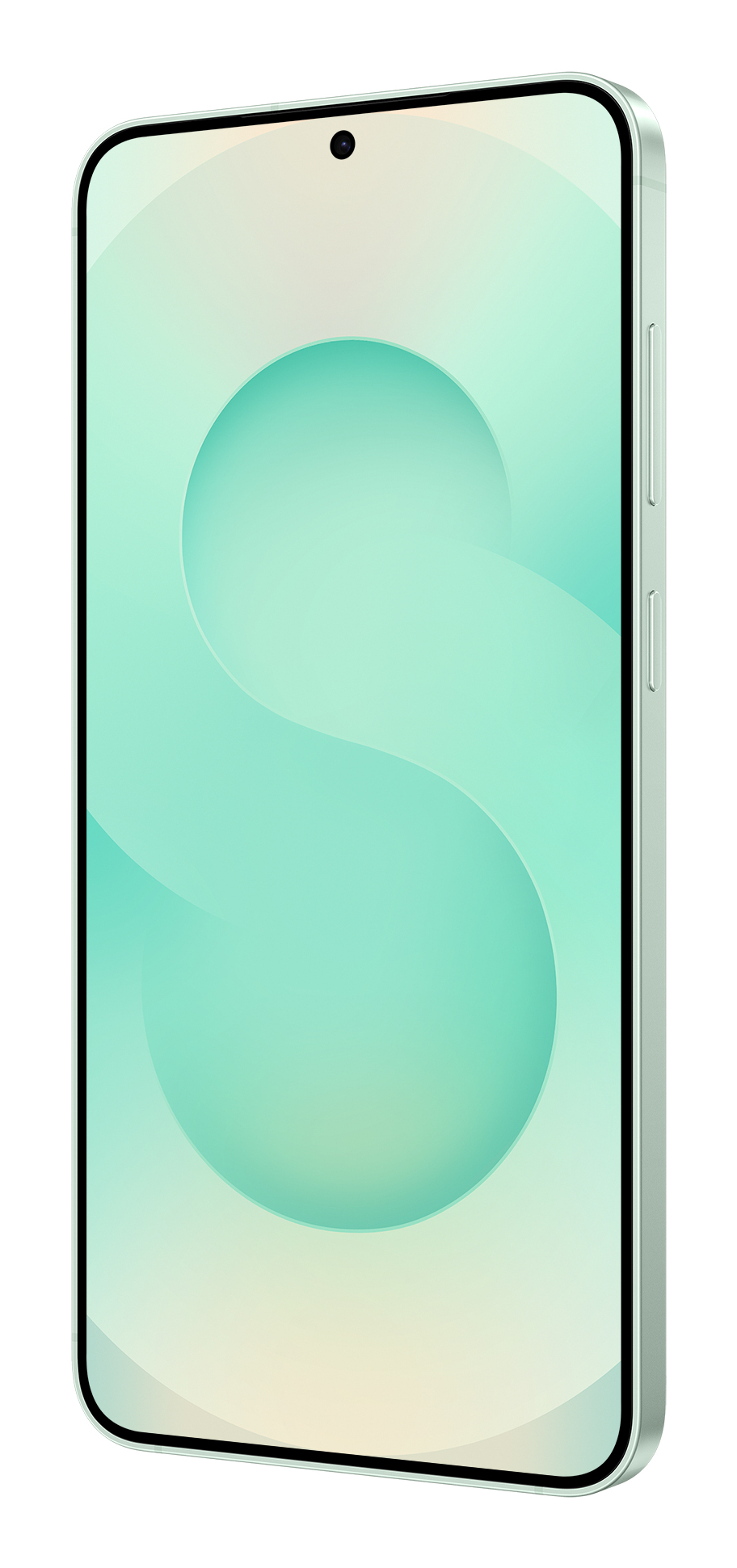 Samsung Galaxy S25+ 17 cm (6.7) Dual SIM Android 15 5G USB Type-C 12 GB 512 GB 4900 mAh Mint colour