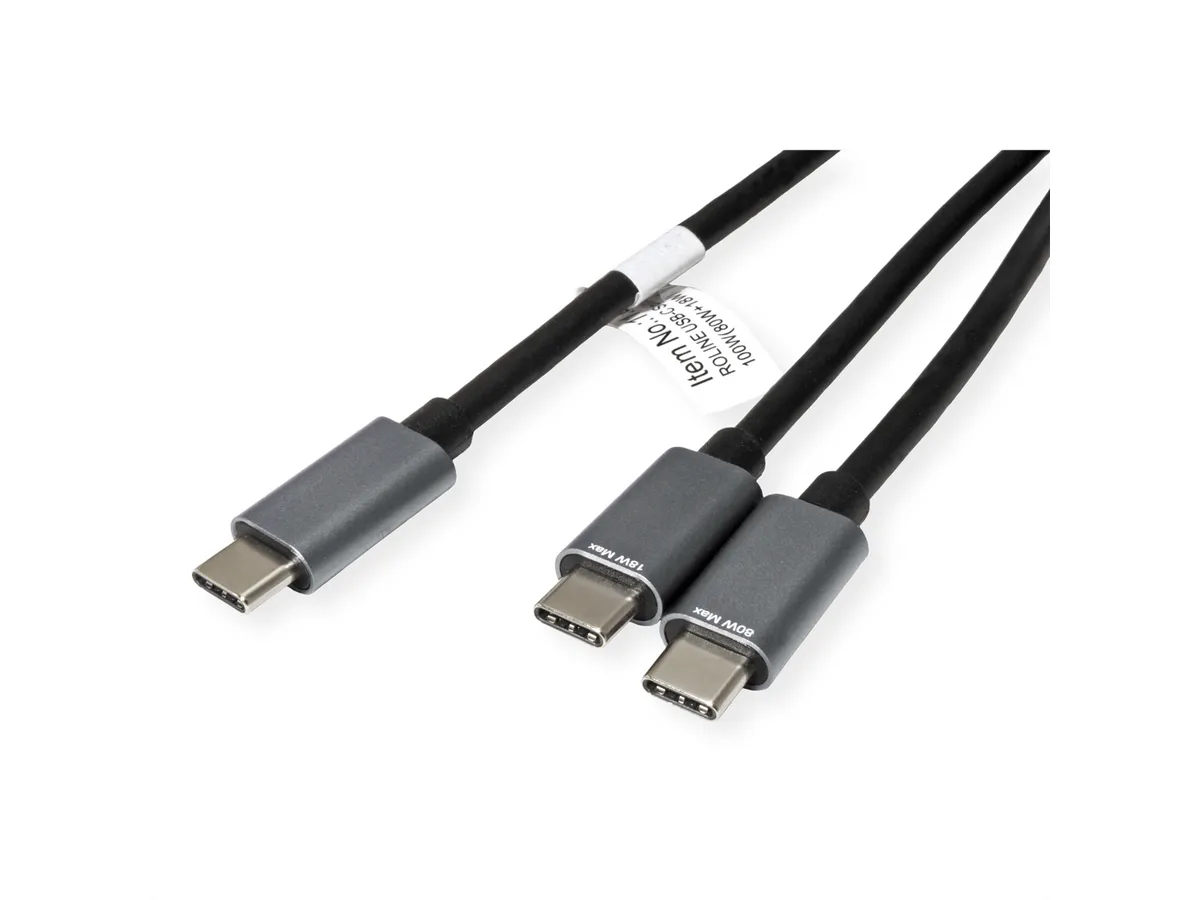 ROTRONIC-SECOMP Roline - USB-Kabel - 24 pin USB-C (M) zu 24 pin USB-C (M)