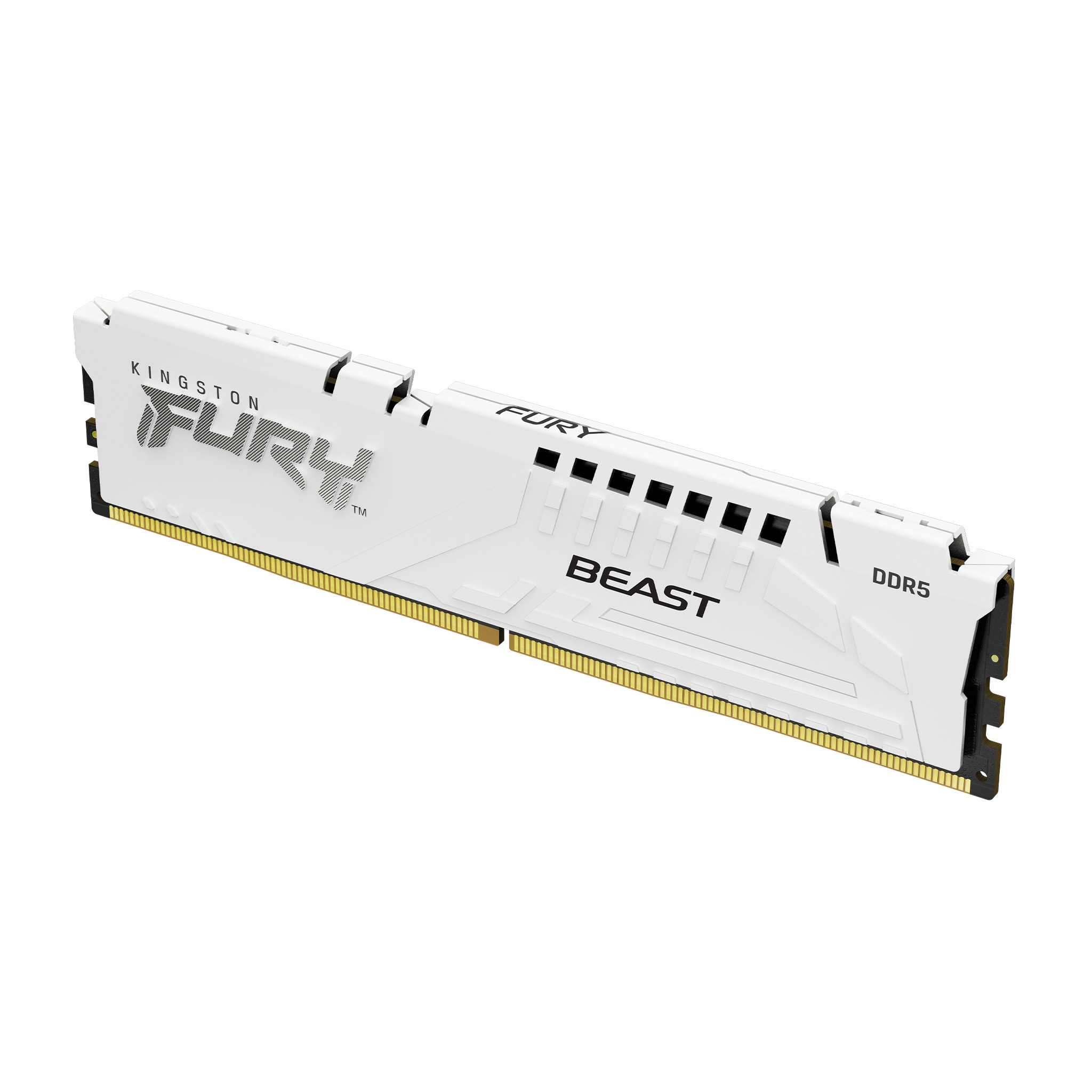 Kingston D5 16GB 5600-36 Beast EXPO wh KFY AMD EXPO - 16 GB - DDR5