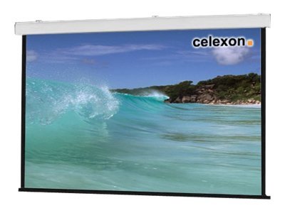 celexon Expert ceiling recessed - Leinwand - Deckenmontage, geeignet f�r Wandmontage - motorisiert - 230 V - 354 cm (139)