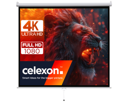 celexon basic Rollo-Leinwand 135| 1 1| ausziehbare Full-HD 4K Beamer-Leinwand - Rolloleinwand - 342,9 cm