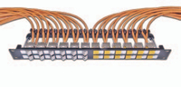 Wirewin High Quality 24-Port Keystone Modul-Leerpanel, 19, nickel, geschirmt