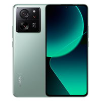 Xiaomi 2306EPN60G | Xiaomi 13T 5G Dual Sim 12GB RAM 256GB - Green EU