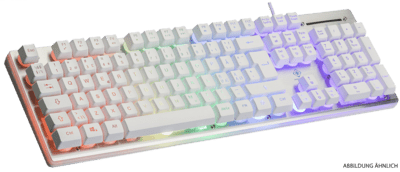 Deltaco WK75 Gaming Tastatur Membran RGB wei