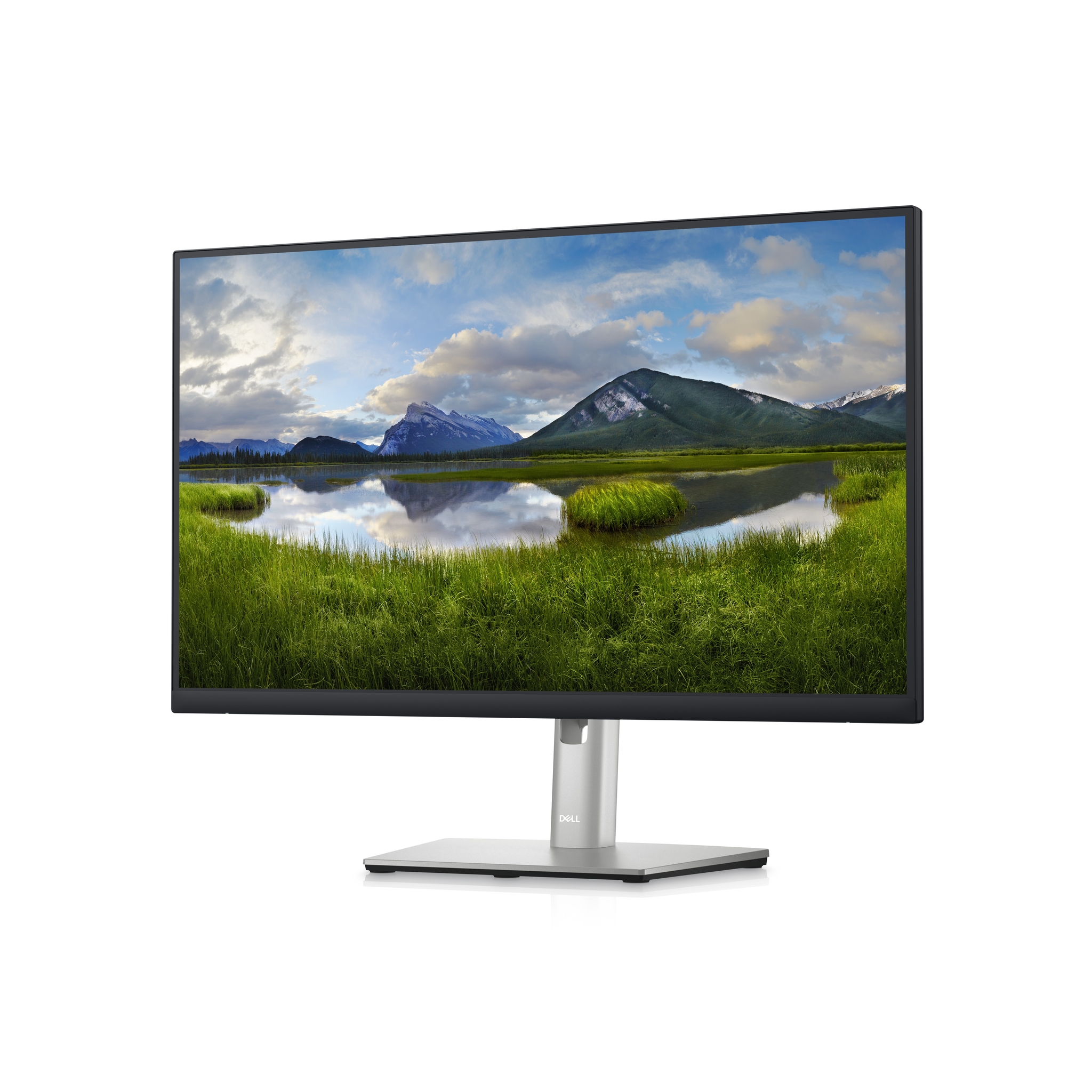 DELL P Series �cran 24 pouces QHD - P2423D