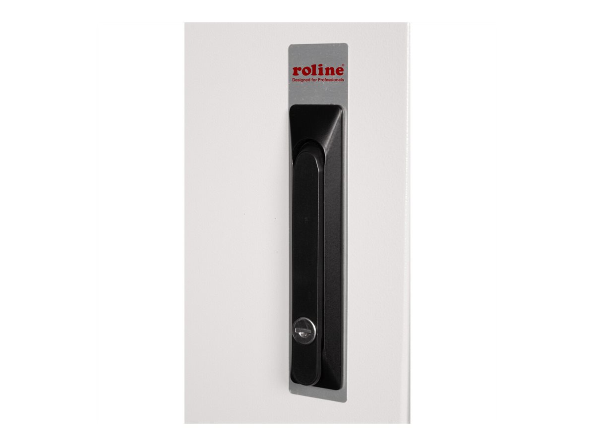 ROLINE Pro - Geh�use - Outdoor - geeignet f�r Wandmontage - Hellgrau, RAL 7035 - 9U - 48.3 cm (19)