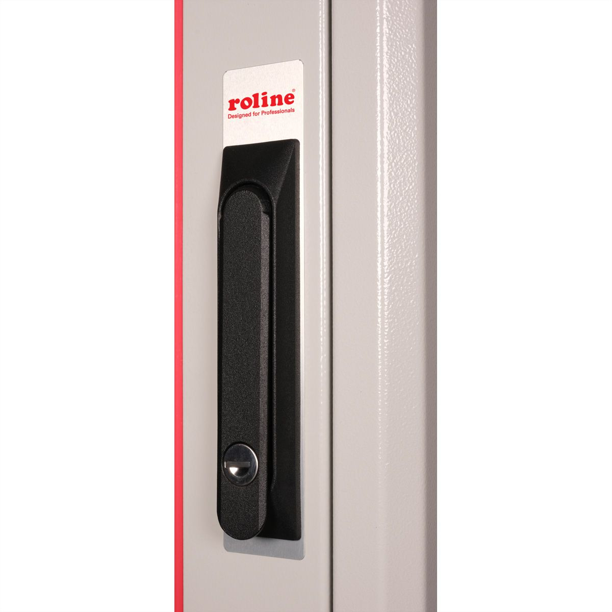 ROLINE Basic - Schrank Netzwerkschrank - Glas T�r, 800 x 800 (B x T)