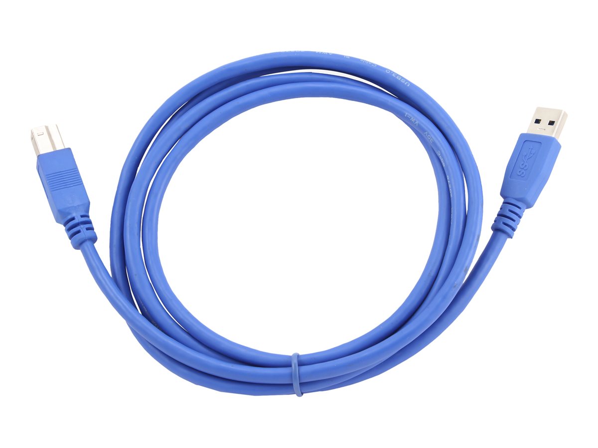 Gembird USB-Kabel - USB Typ A (M) zu USB Type B (M)