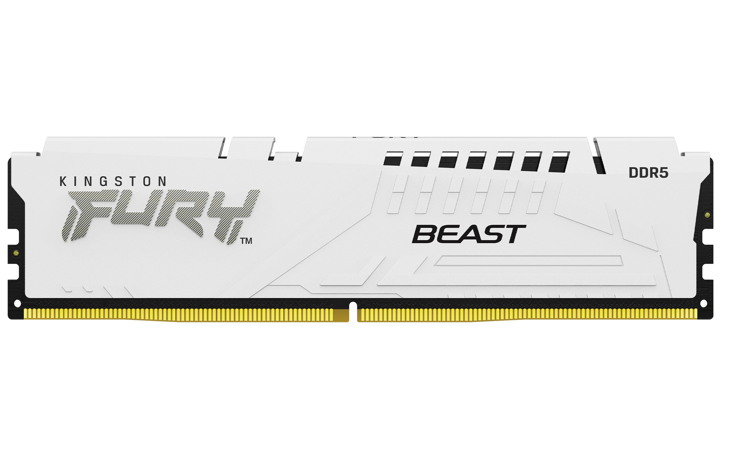 Kingston Technology FURY Beast 32GB 6800MT/s DDR5 CL34 DIMM (Kit of 2) White EXPO