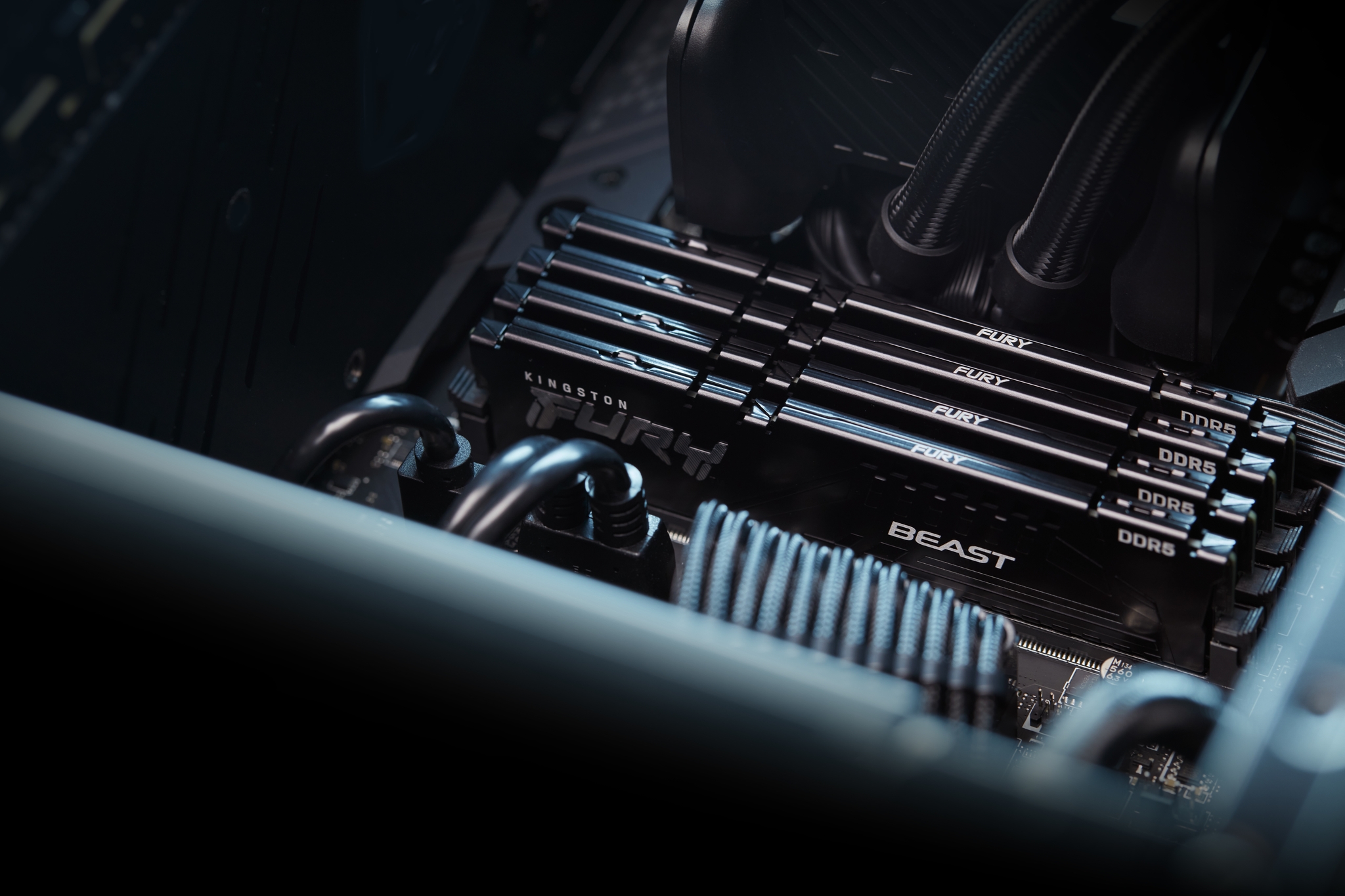 Kingston FURY Beast - DDR5 - Modul - 16 GB - DIMM 288-PIN