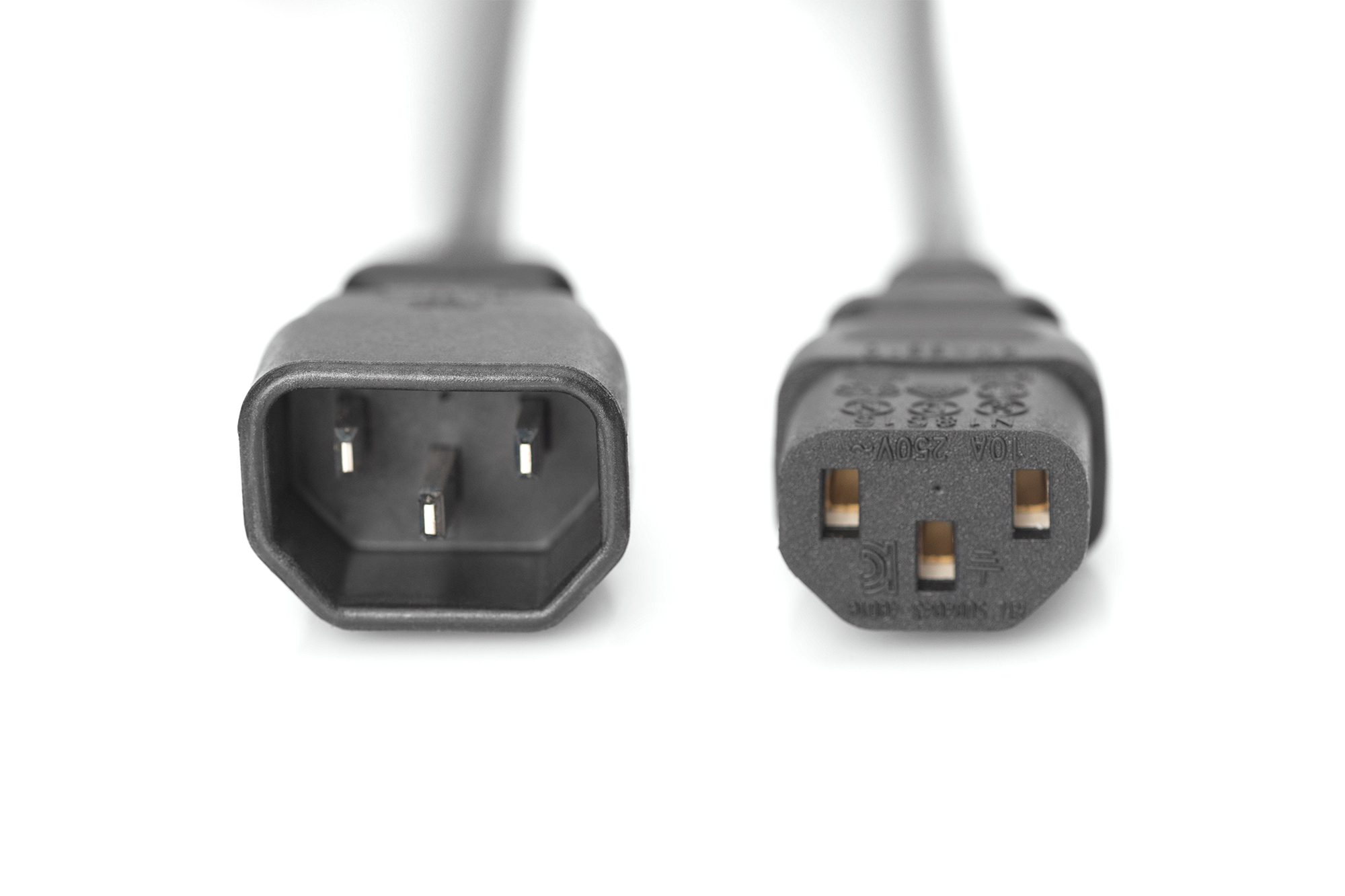 Digitus Extensi�n de cable de red