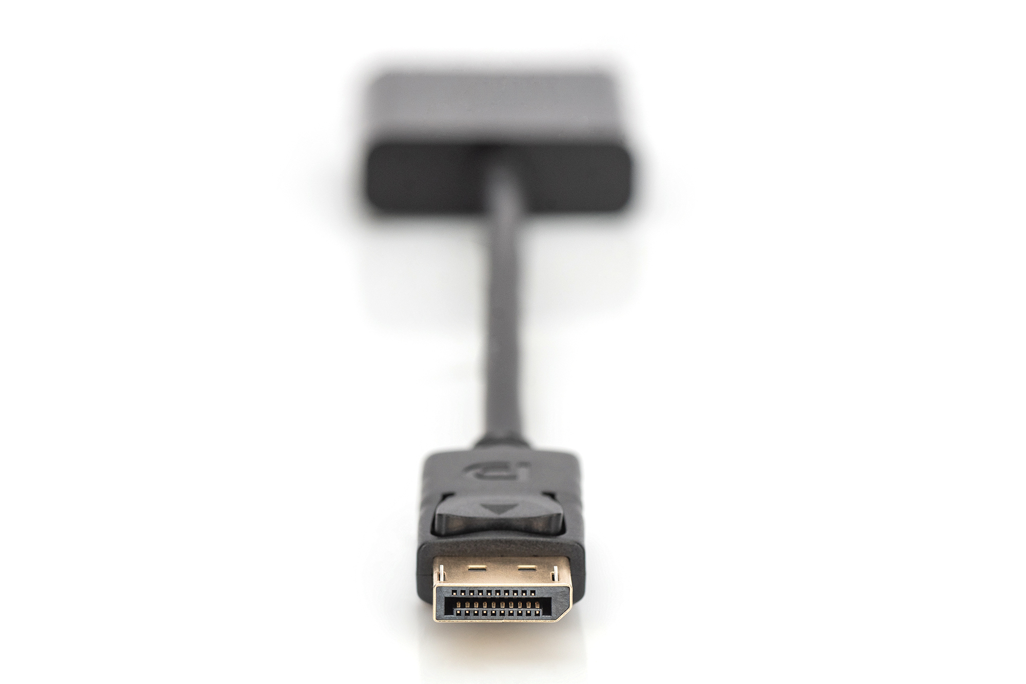 Digitus Cavo adattatore DisplayPort