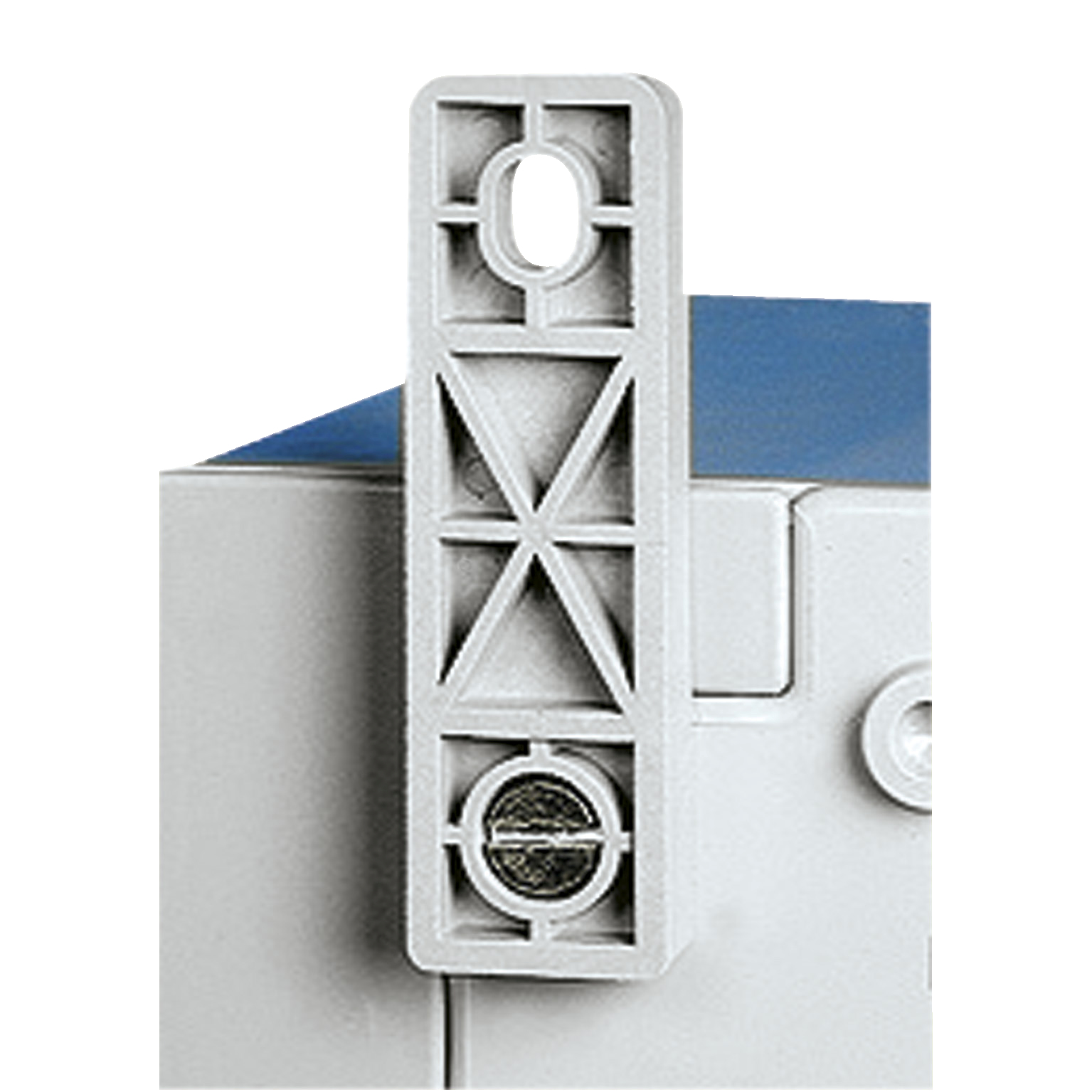 Schneider Electric NSYPFPLMG accesorios para cuadro elctrico