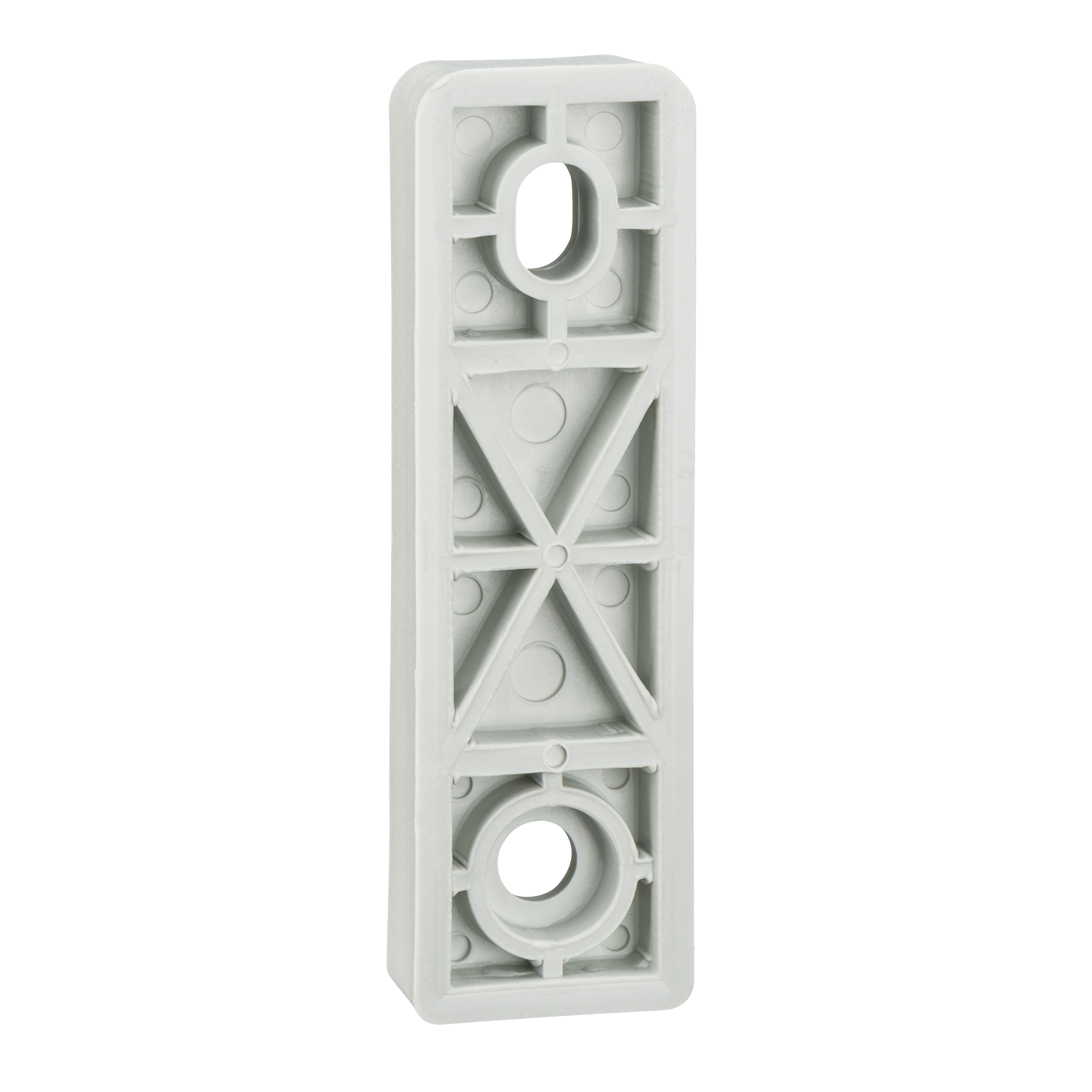 Schneider Electric NSYPFPLMG accesorios para cuadro elctrico