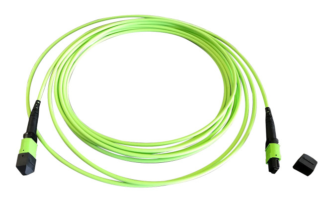 EFB Elektronik MTPF12MTPFOM5-10 cable de fibra optica 10 m MTP OM5 Verde