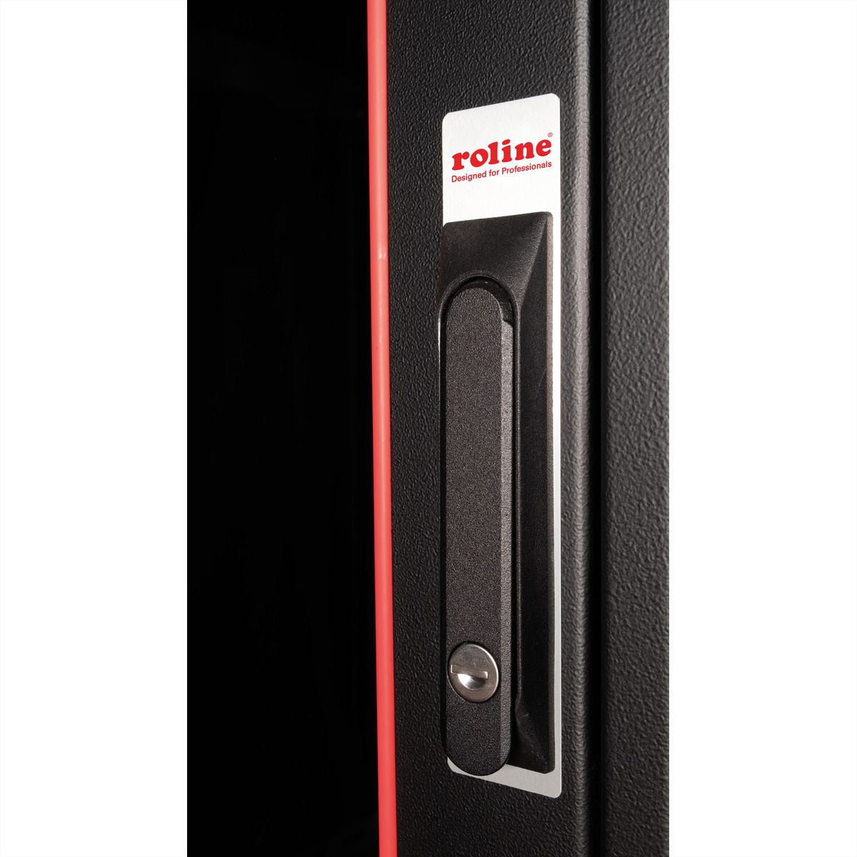 ROLINE Pro - Schrank Netzwerkschrank - mit Glast�r, 600 x 800 mm (B x T)