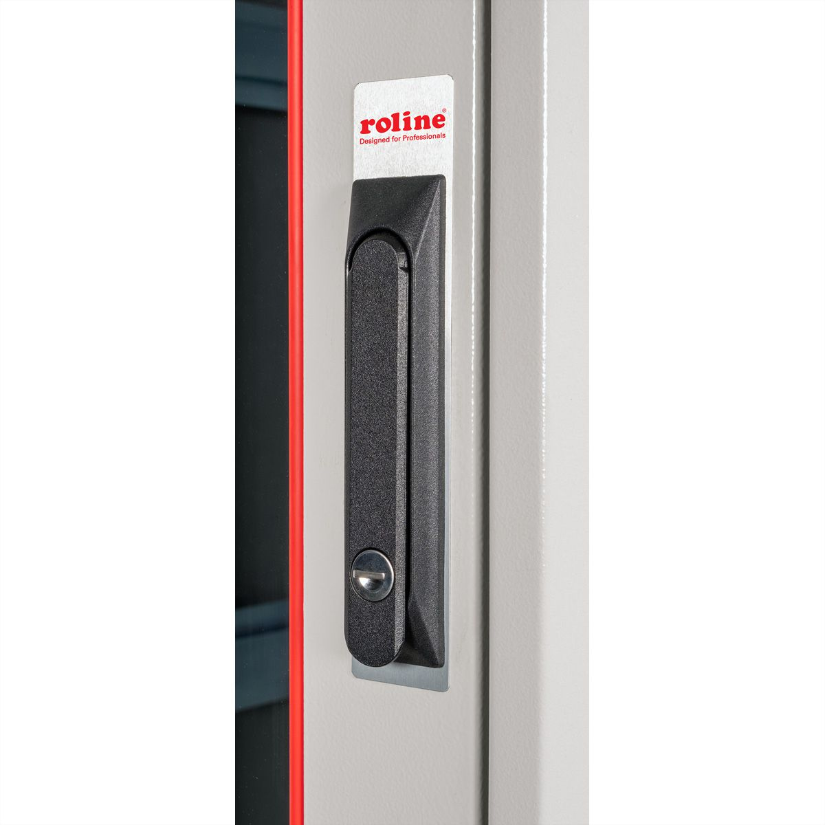 ROLINE Pro - Schrank Netzwerkschrank - mit Glast�r, 800 x 1000 mm (B x T)